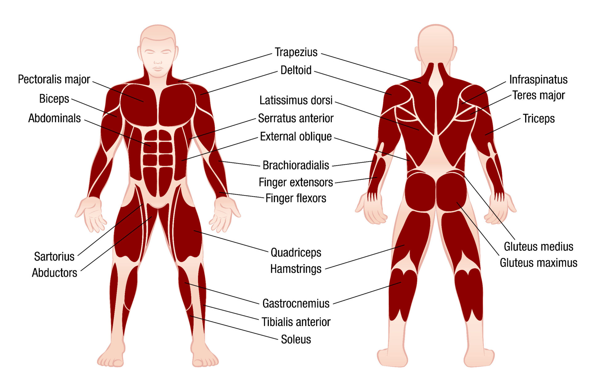 ergonomics-study-hotel-housekeeping-indoor-health-council